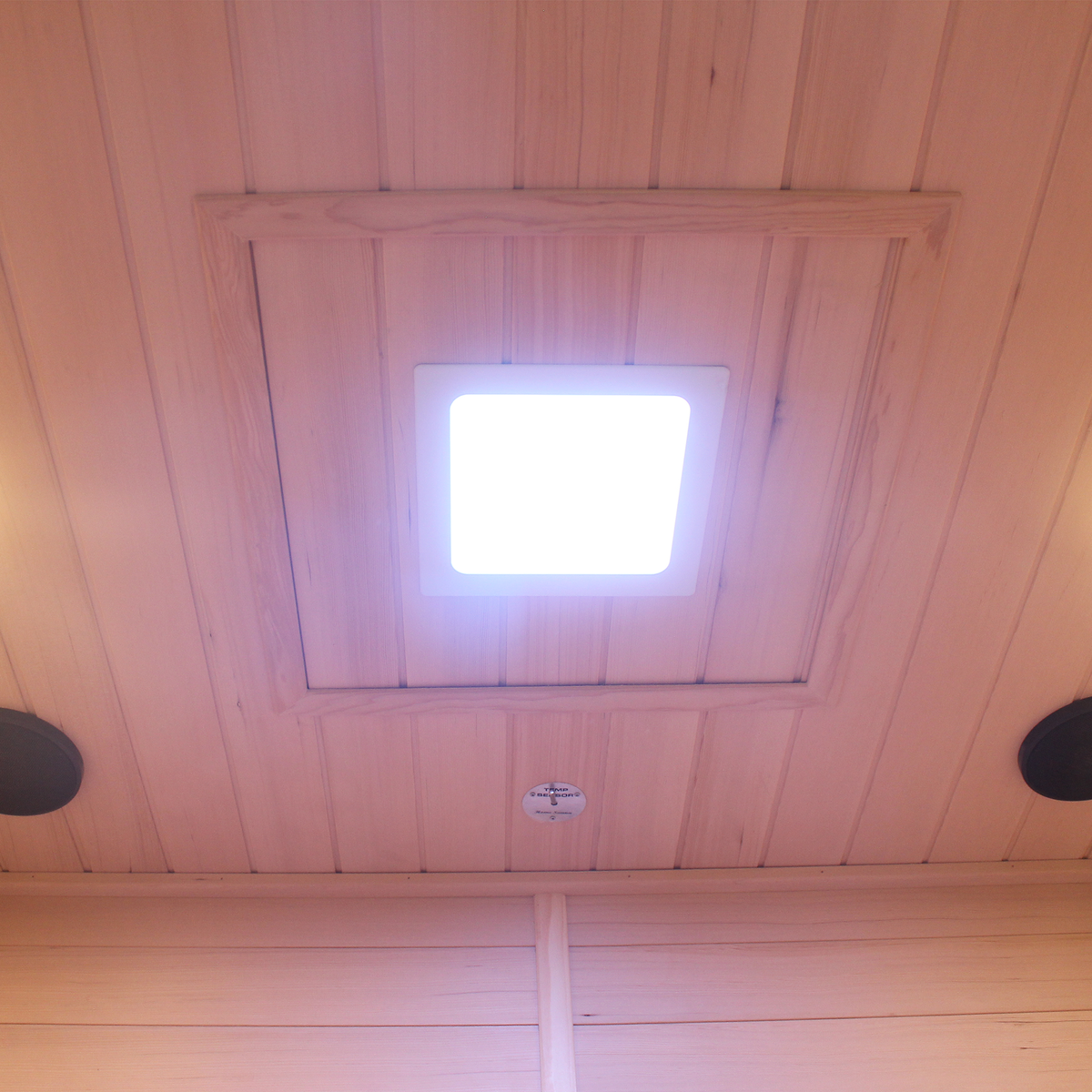 CenturaHeat 3 Person Traditional Steam Outdoor Sauna Room